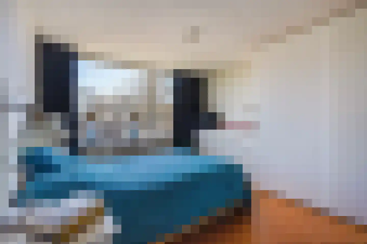 Valckslootlaan 8 Hillegom thumbnail 34