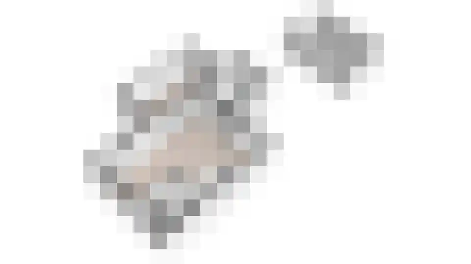 Valckslootlaan 8 Hillegom thumbnail 53