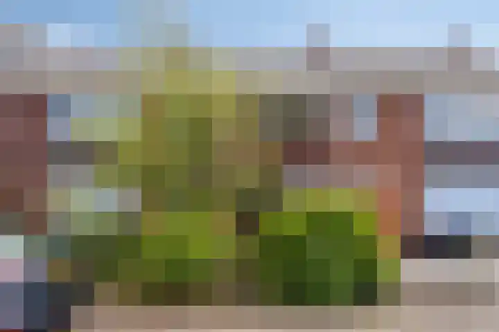 Valcooghstraat 15 in Heemskerk