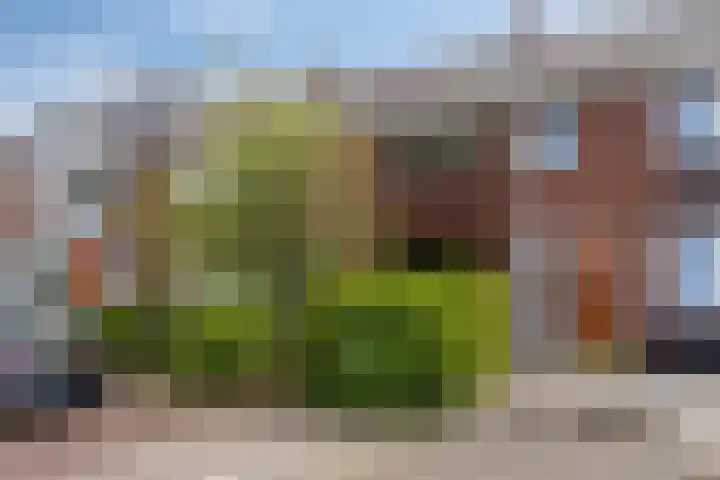 Valcooghstraat 15 Heemskerk thumbnail 28