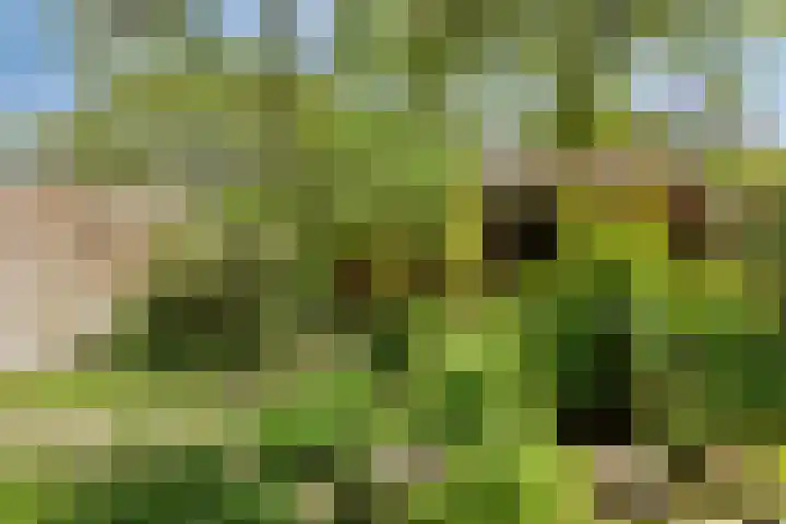 Valcooghstraat 15 Heemskerk thumbnail 6