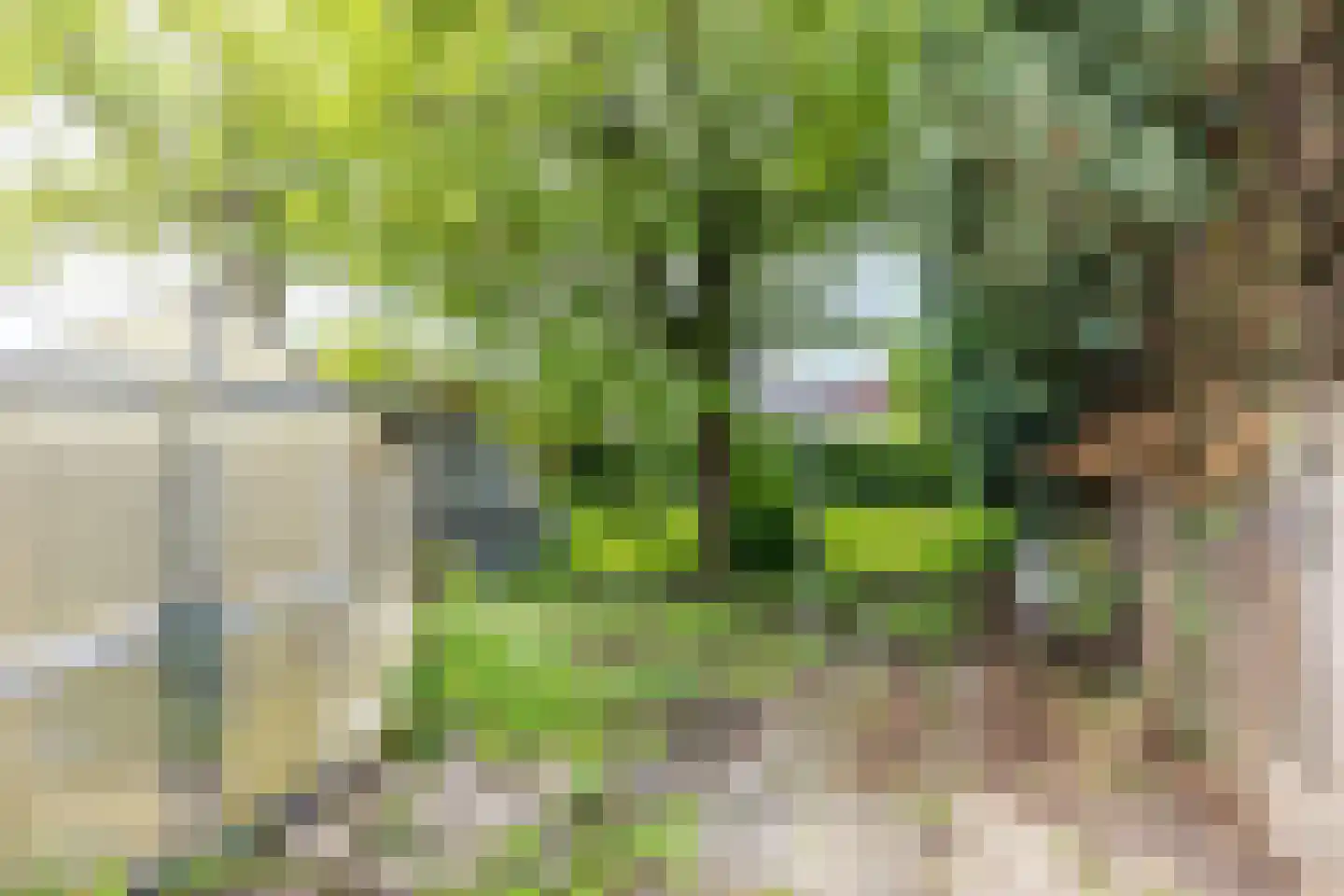 Valderenstraat 67 Geleen thumbnail 35