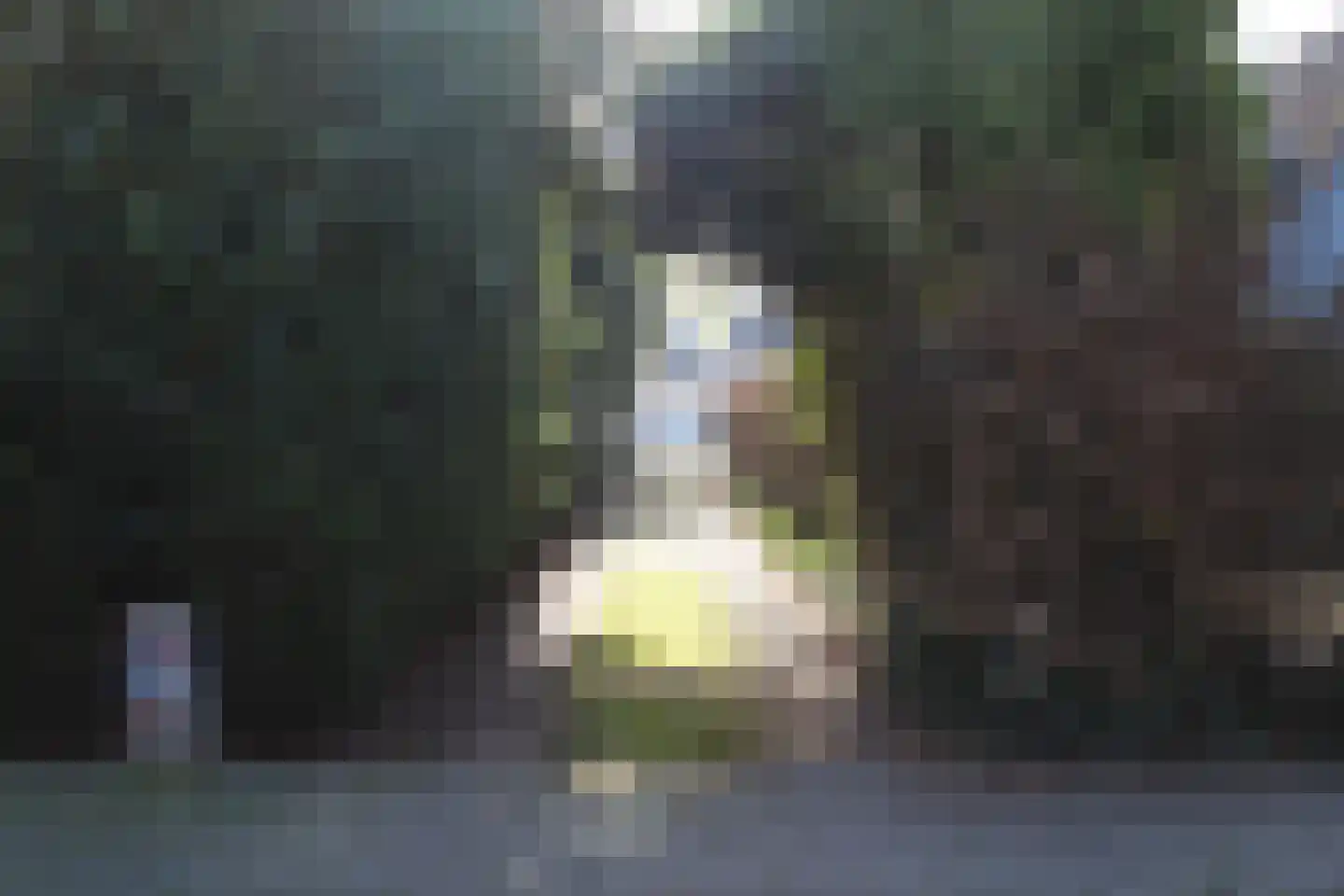 Valderenstraat 93 Geleen thumbnail 6