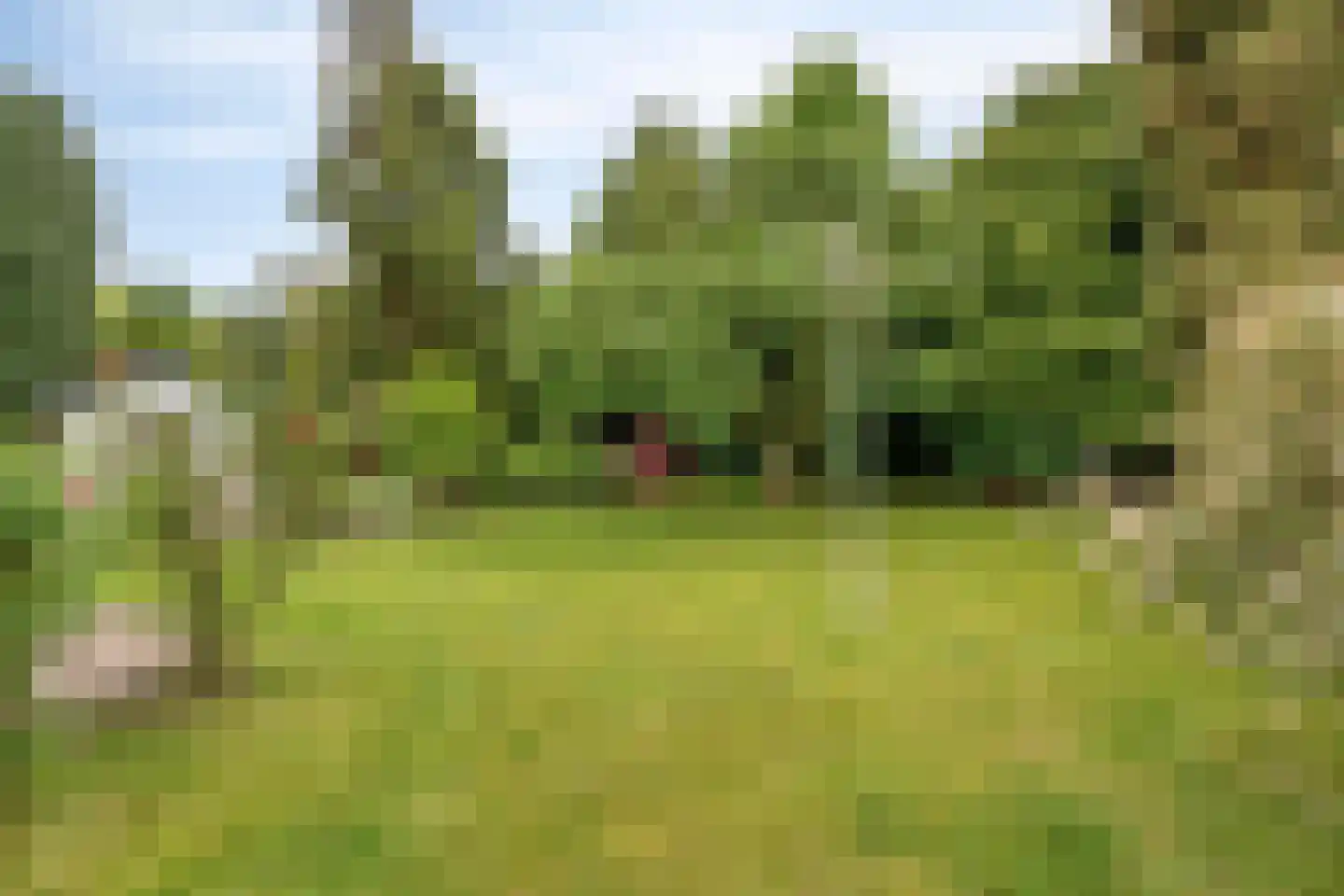 Valderenstraat 97 Geleen thumbnail 8