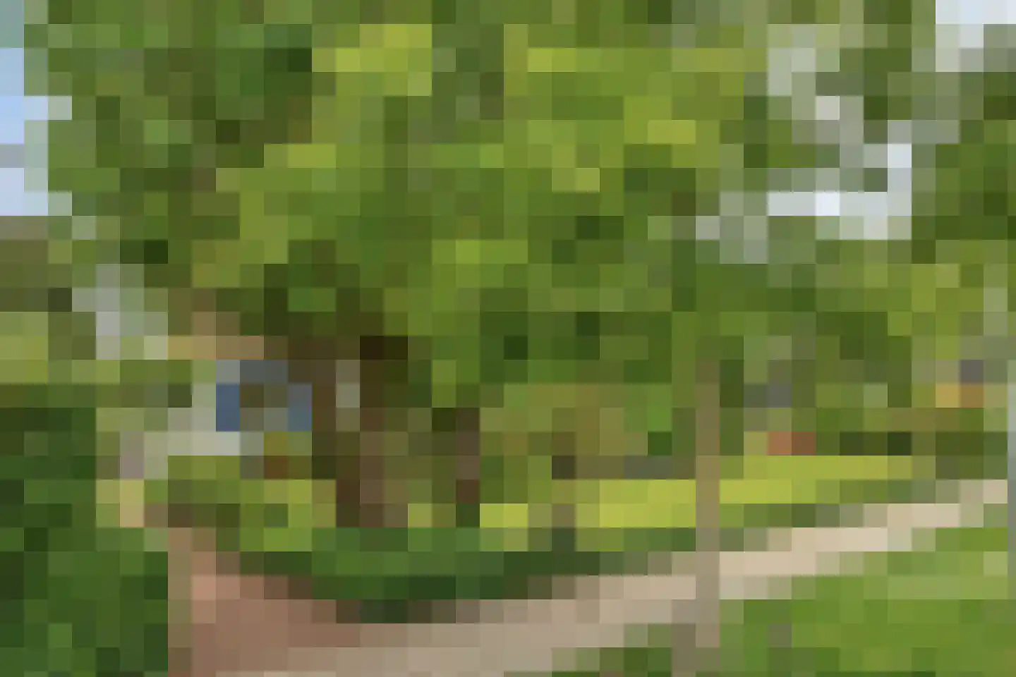 Valderenstraat 97 Geleen thumbnail 9