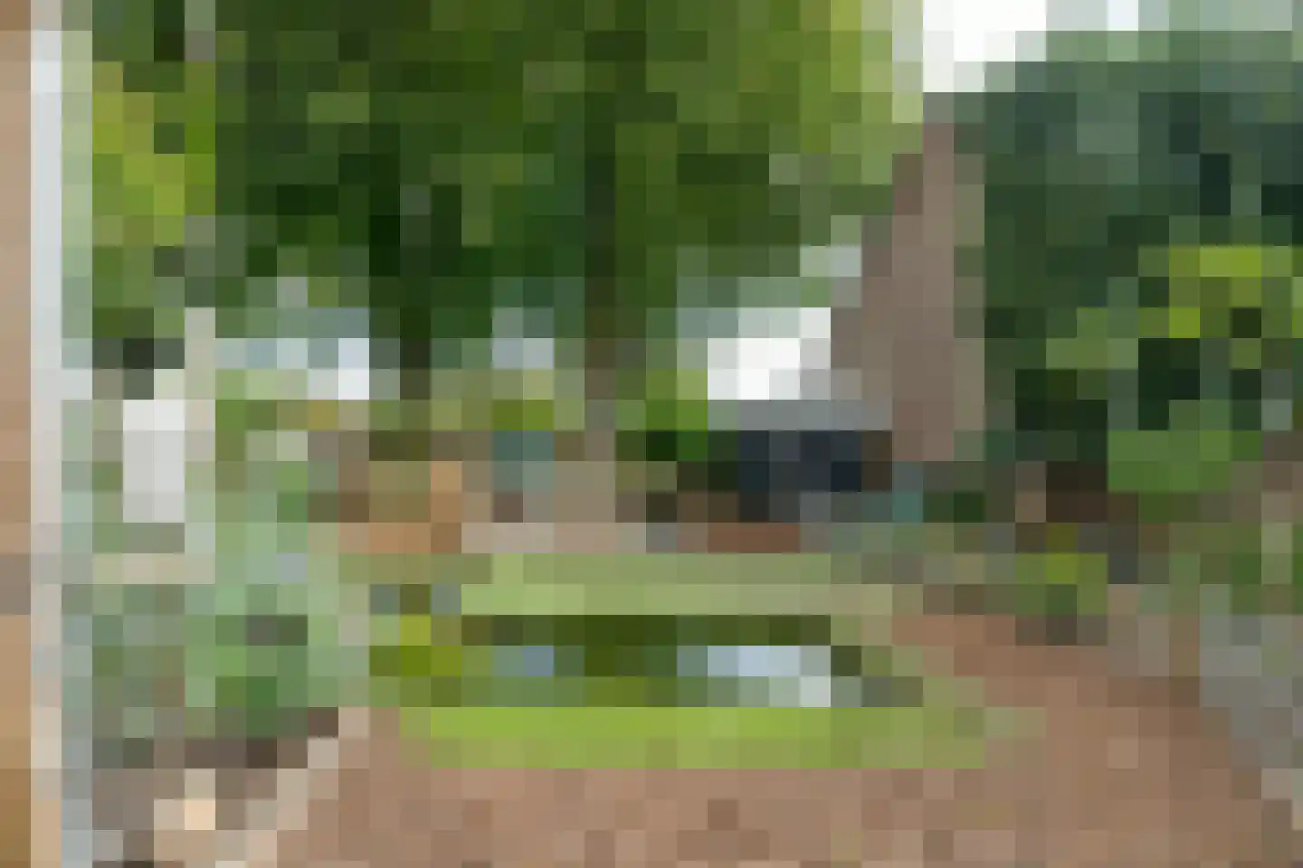 Valderensweg 4 Doenrade thumbnail 28