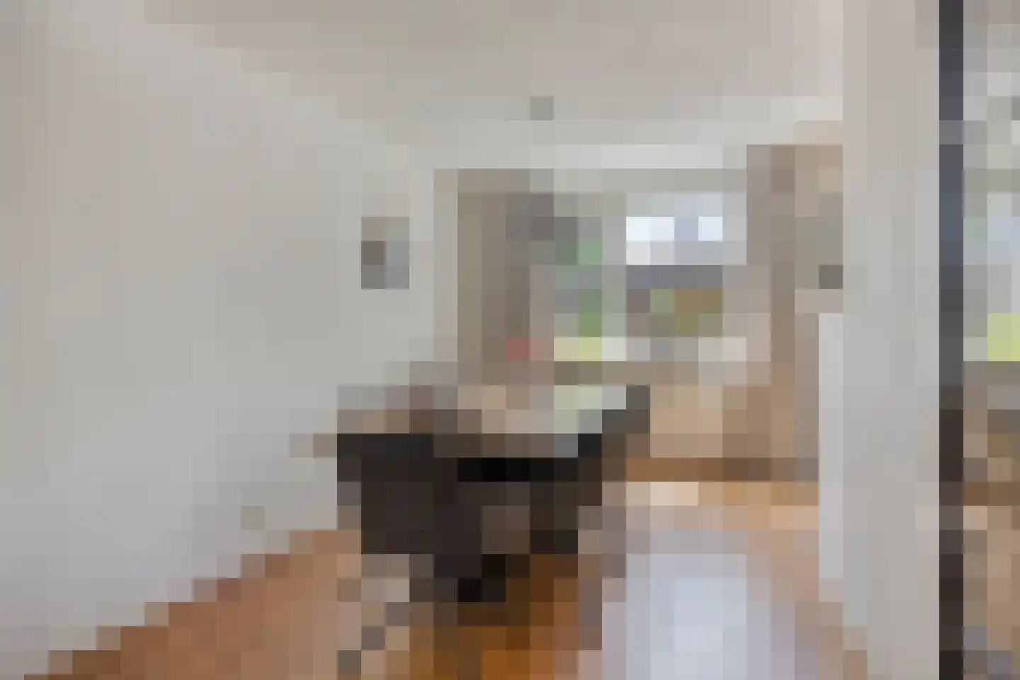 Valderseweg 31 Dwingeloo thumbnail 13