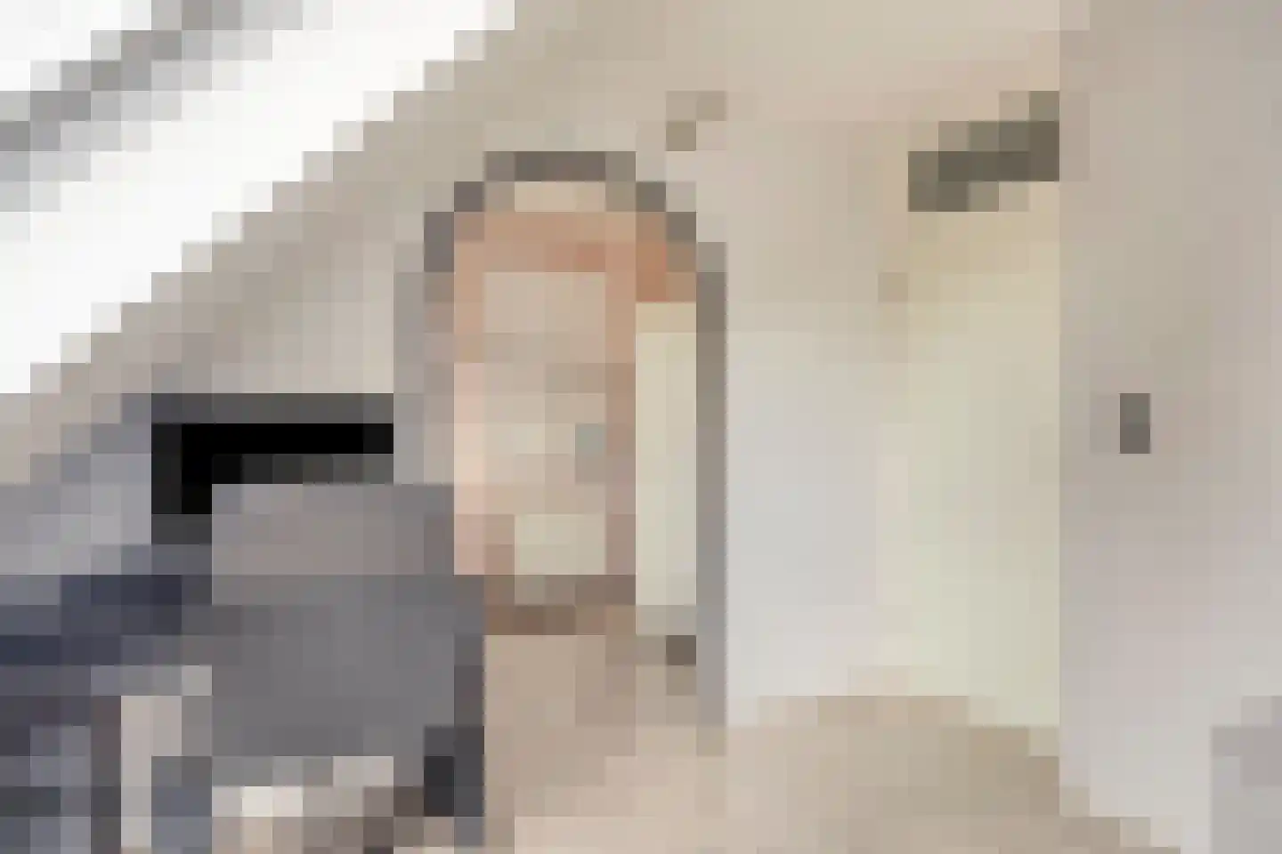 Valderseweg 31 Dwingeloo thumbnail 26