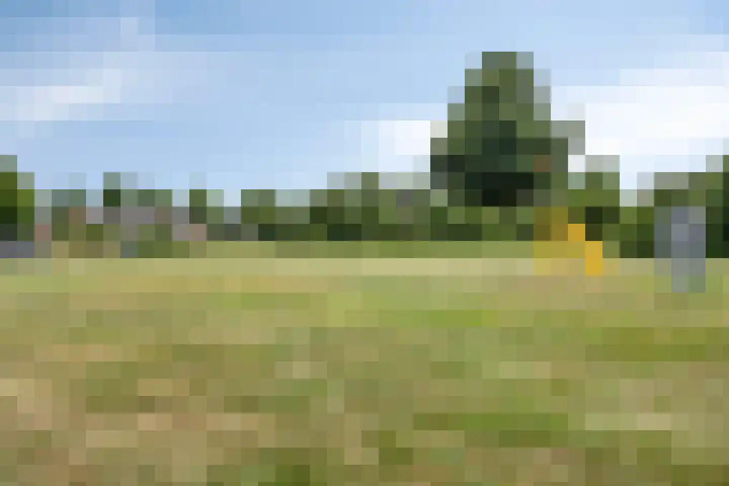 Valderseweg 31 Dwingeloo thumbnail 50
