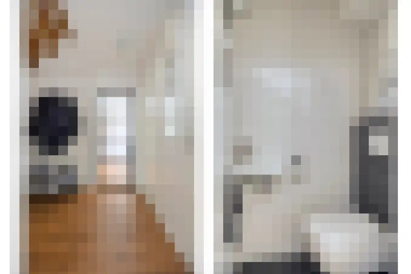 Valderseweg 31 Dwingeloo thumbnail 6