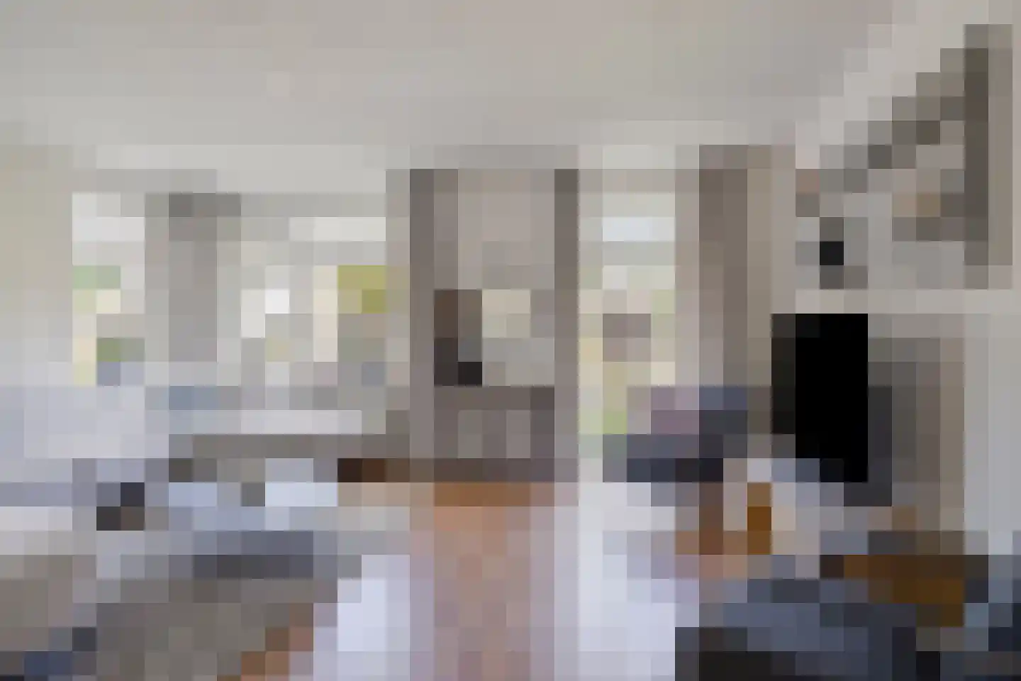 Valderseweg 31 Dwingeloo thumbnail 7