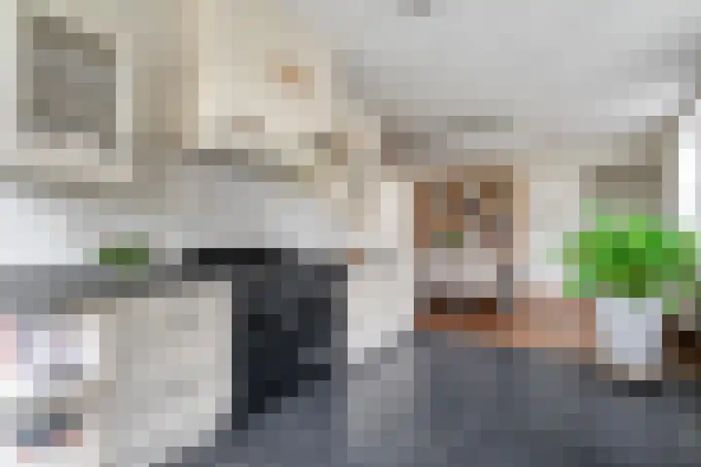Valderseweg 4 a Dwingeloo thumbnail 14