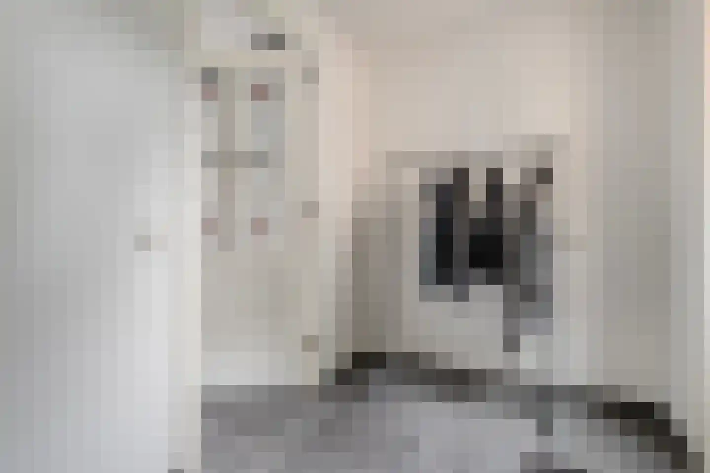 Valderseweg 4 a Dwingeloo thumbnail 21