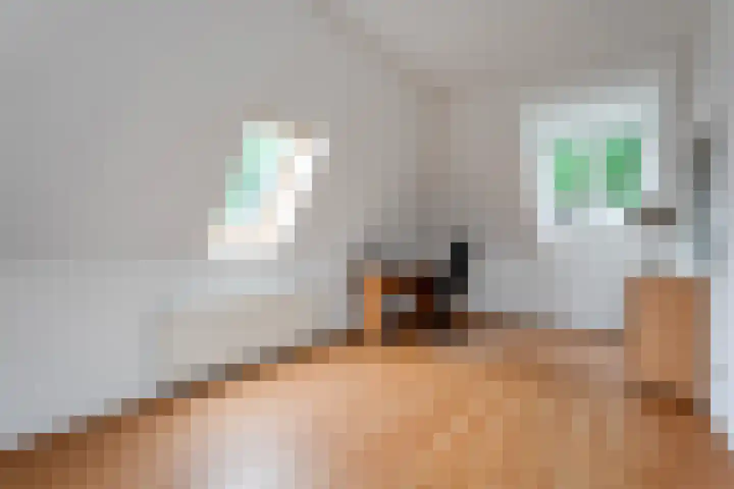 Valderseweg 4 a Dwingeloo thumbnail 31