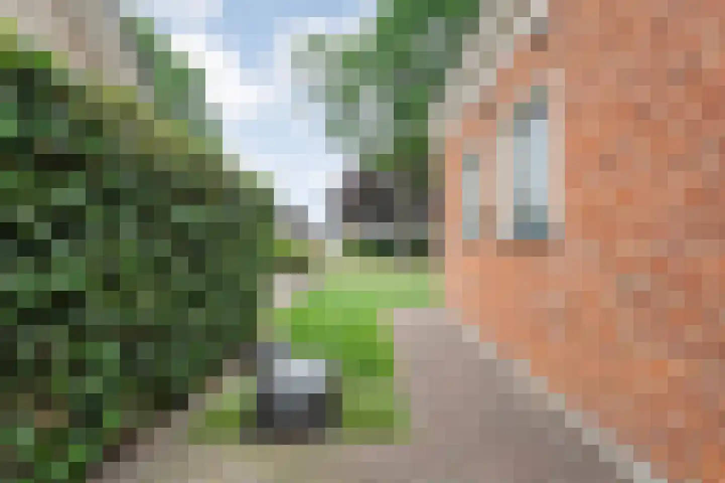 Valderseweg 4 a Dwingeloo thumbnail 46