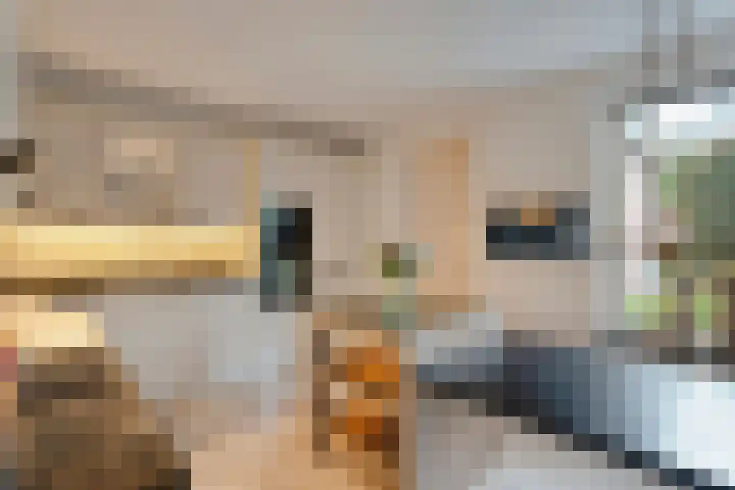 Valderseweg 4 b Dwingeloo thumbnail 13