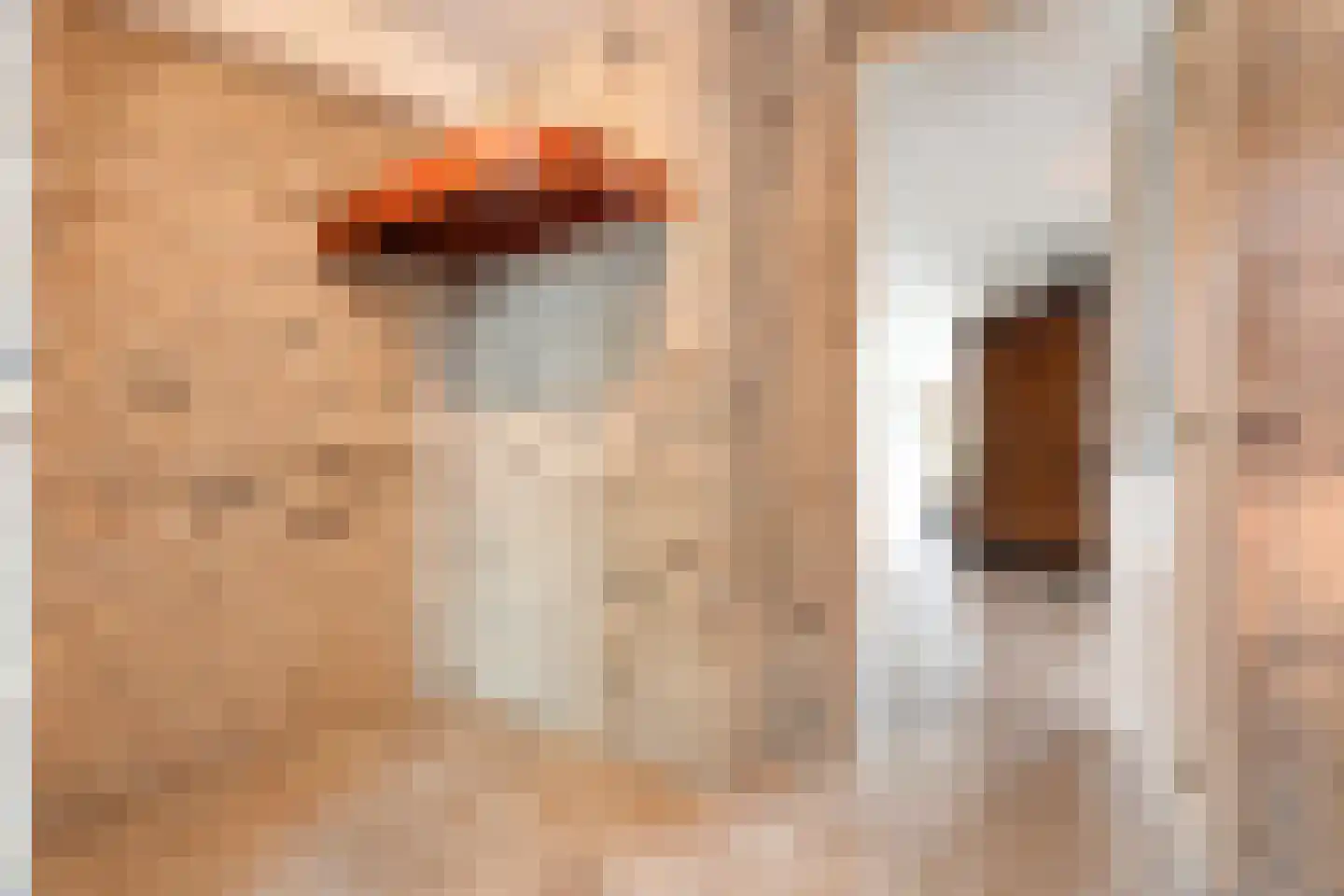 Valderseweg 4 b Dwingeloo thumbnail 25