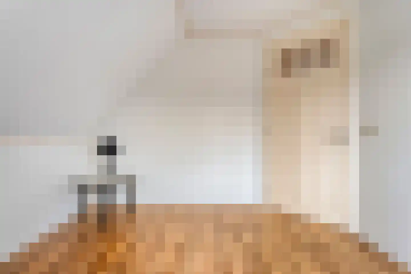 Valderseweg 4 b Dwingeloo thumbnail 36