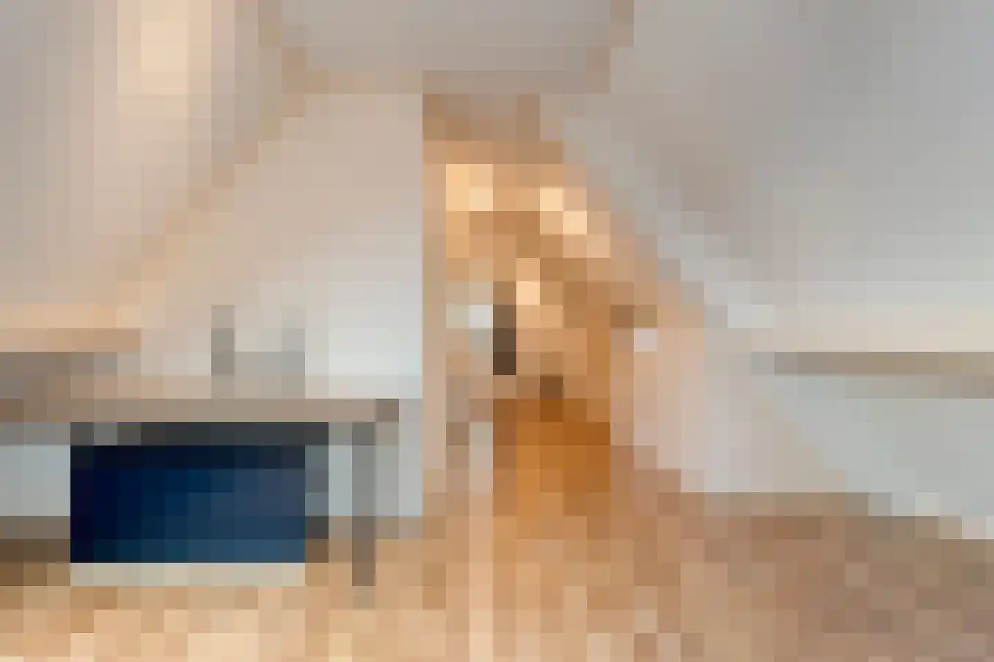 Valderseweg 4 b Dwingeloo thumbnail 42