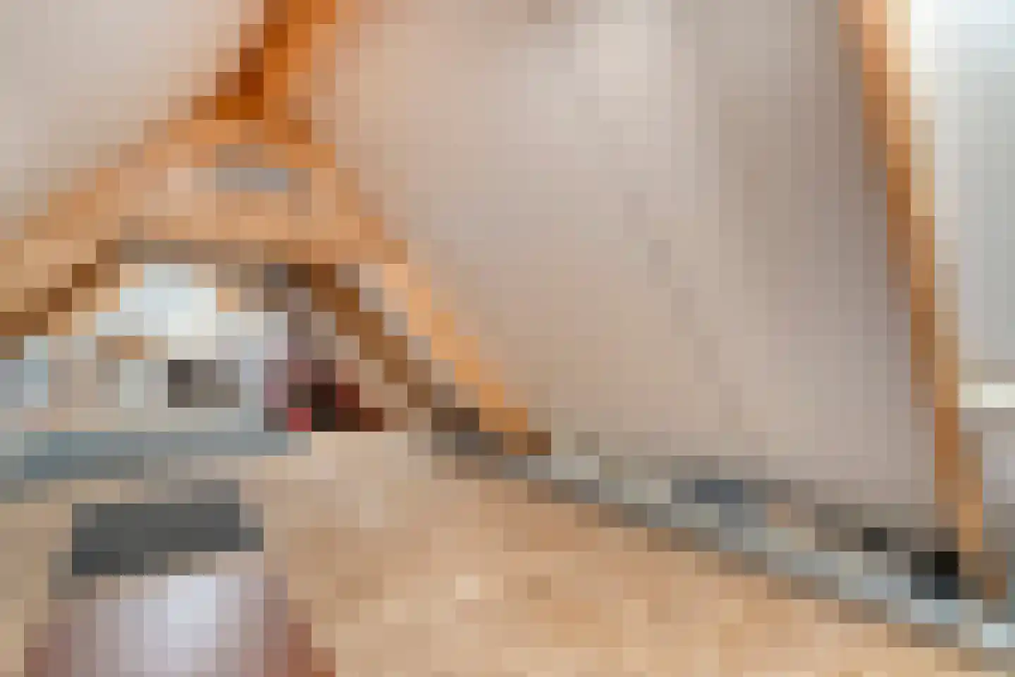 Valderseweg 4 b Dwingeloo thumbnail 49