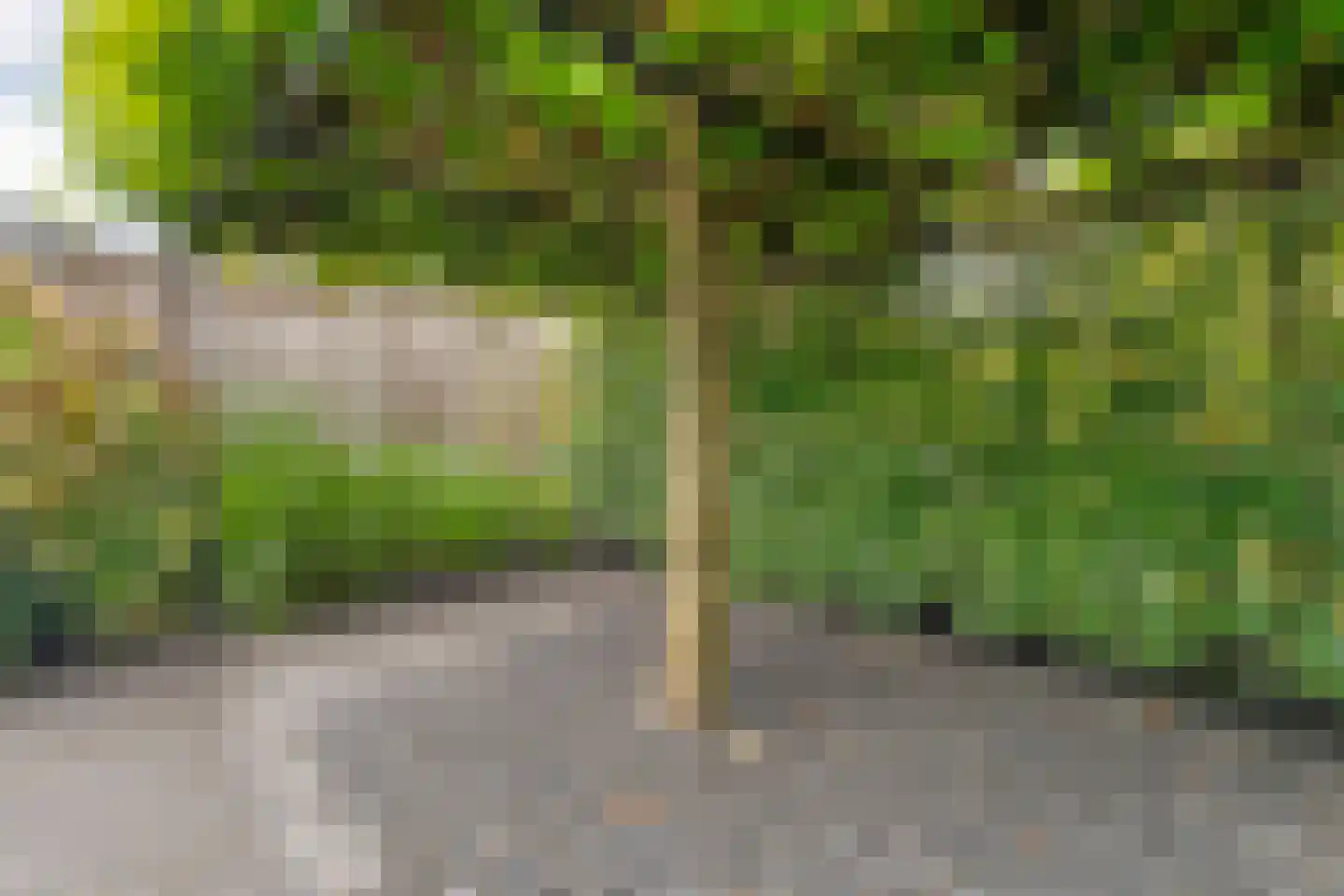 Valderseweg 4 b Dwingeloo thumbnail 54