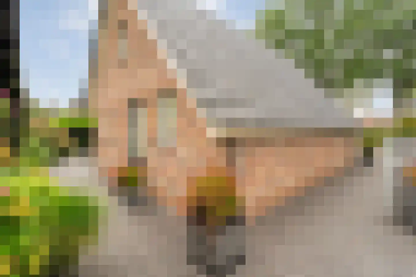 Valderseweg 4 b Dwingeloo thumbnail 56