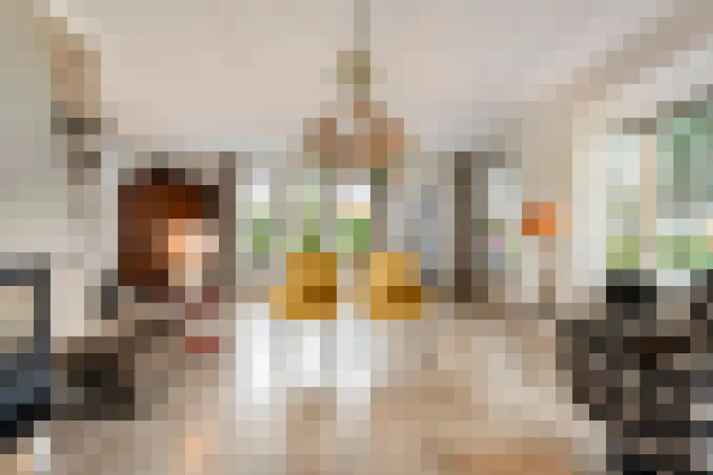 Valderseweg 4 b Dwingeloo thumbnail 6