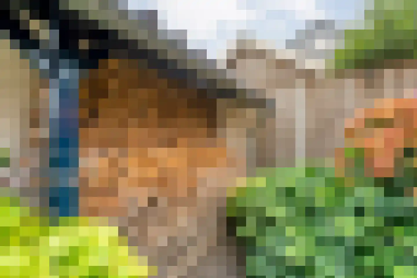 Valderseweg 4 b Dwingeloo thumbnail 60