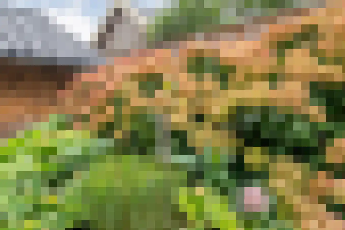 Valderseweg 4 b Dwingeloo thumbnail 61