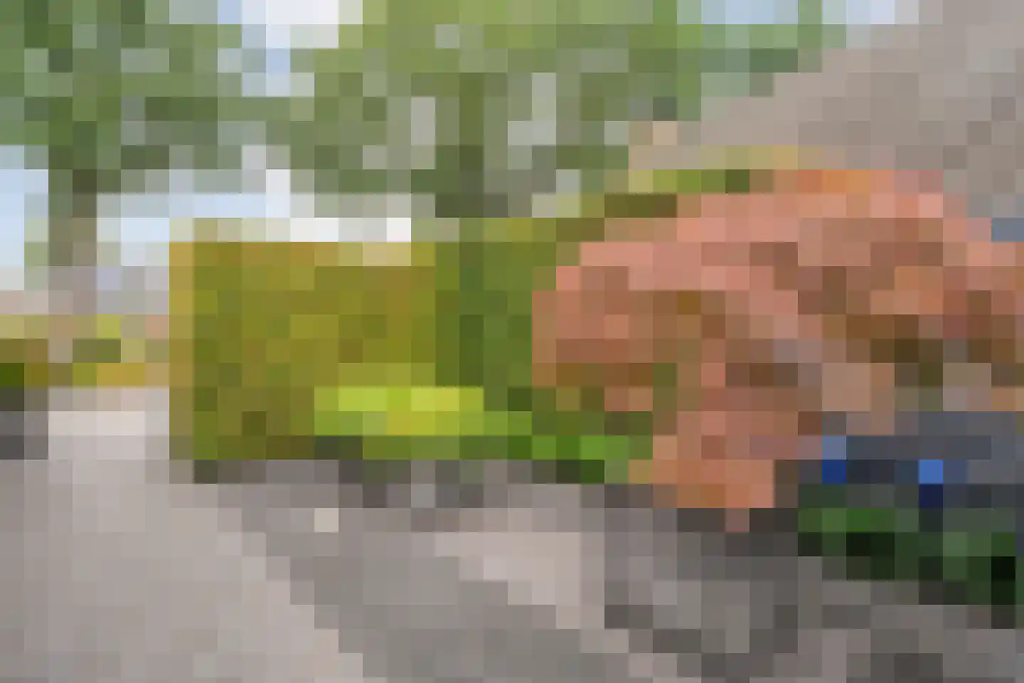 Valderseweg 4 b Dwingeloo thumbnail 66