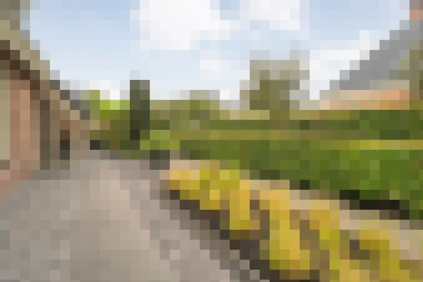 Valderseweg 4 b Dwingeloo thumbnail 68