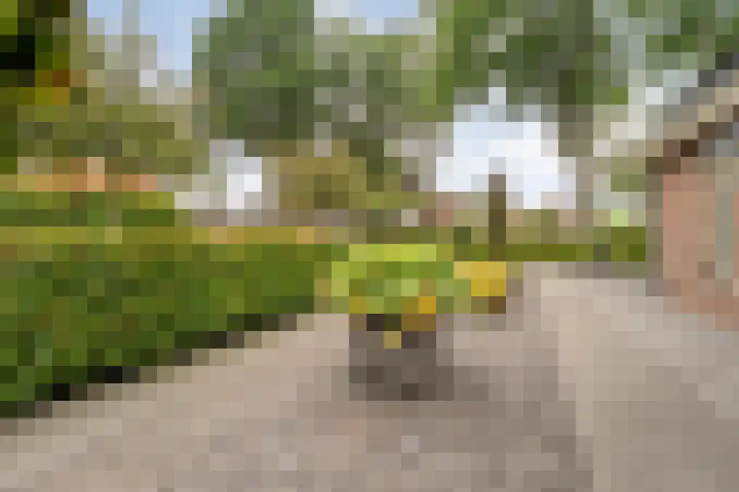 Valderseweg 4 b Dwingeloo thumbnail 69
