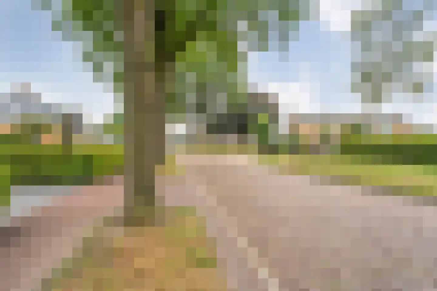 Valderseweg 4 b Dwingeloo thumbnail 78