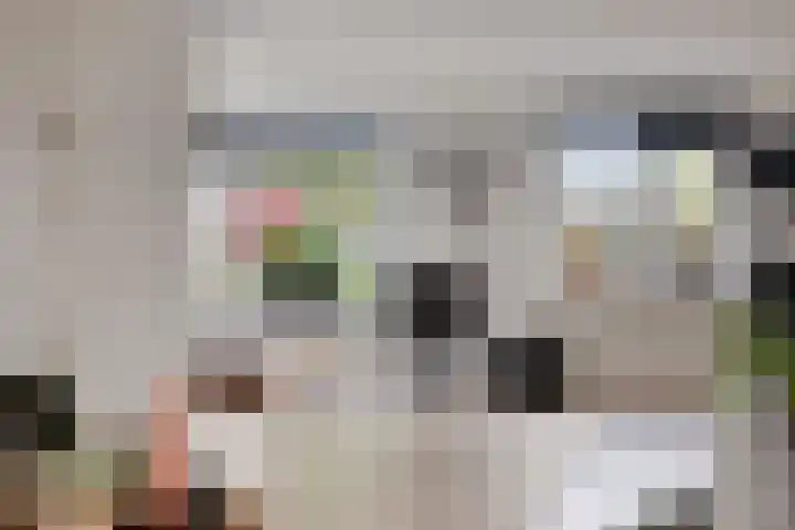 Valderseweg 63 Dwingeloo thumbnail 11