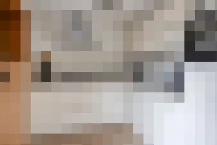 Valderseweg 63 Dwingeloo thumbnail 12