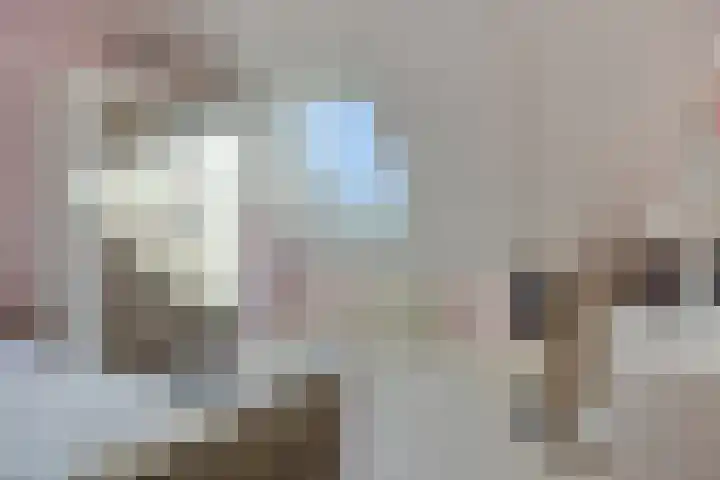 Valderseweg 63 Dwingeloo thumbnail 19