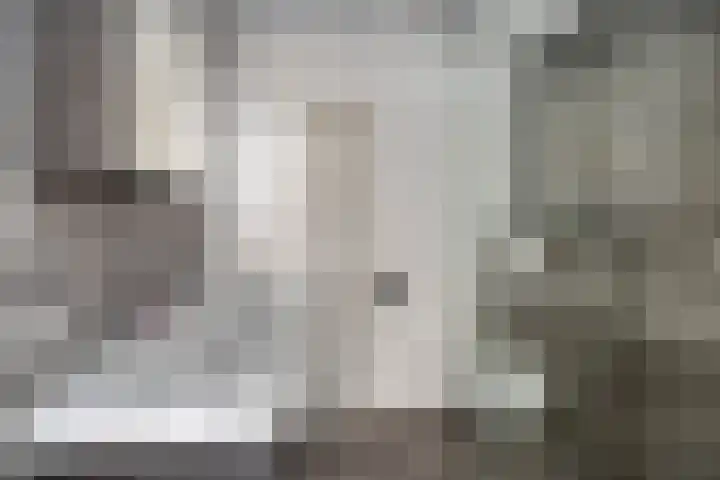 Valderseweg 63 Dwingeloo thumbnail 21