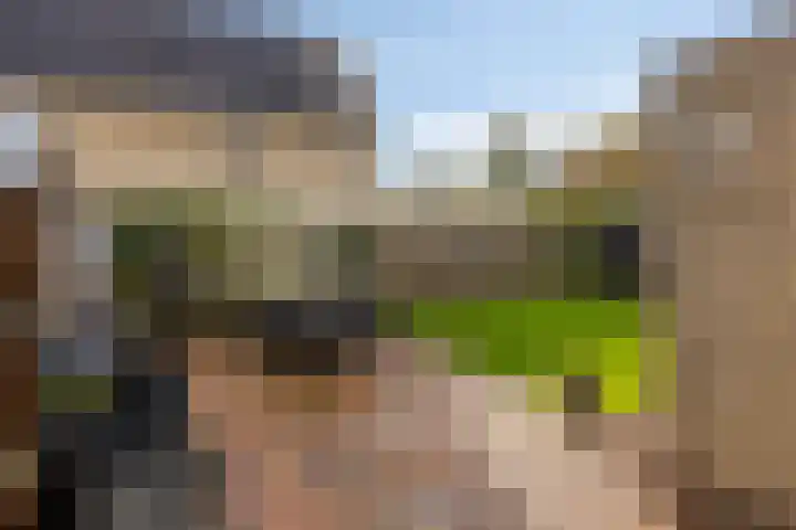 Valderseweg 63 Dwingeloo thumbnail 27