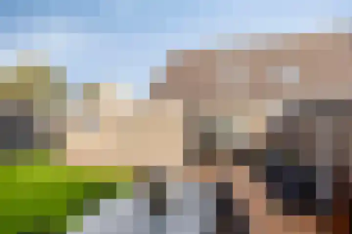 Valderseweg 63 Dwingeloo thumbnail 28