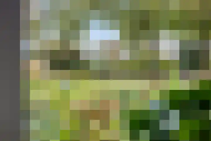 Valderseweg 63 Dwingeloo thumbnail 32