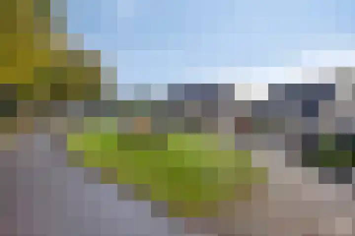 Valderseweg 63 Dwingeloo thumbnail 36