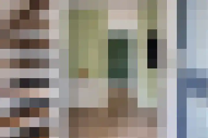 Valderseweg 63 Dwingeloo thumbnail 5