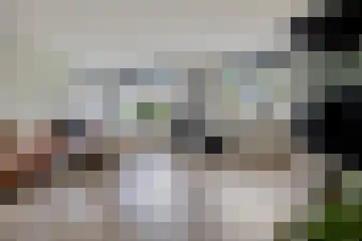 Valderseweg 63 Dwingeloo thumbnail 6