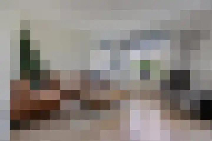 Valderseweg 63 Dwingeloo thumbnail 7