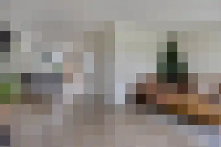 Valderseweg 63 Dwingeloo thumbnail 8