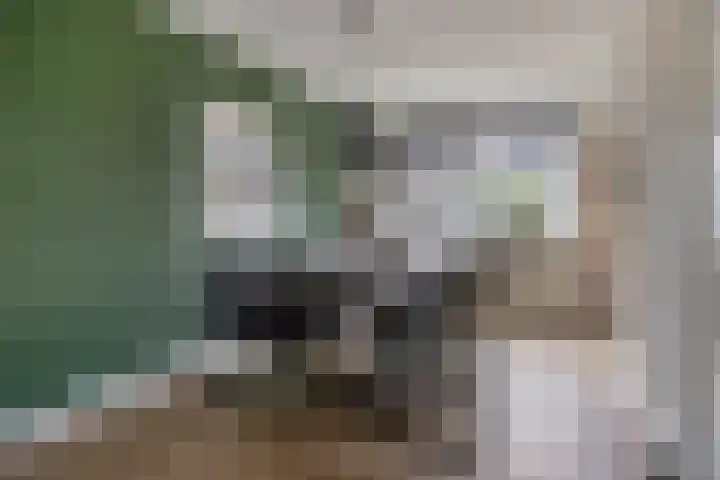 Valderseweg 63 Dwingeloo thumbnail 9