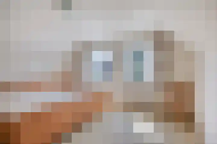 Valderseweg 7 Dwingeloo thumbnail 19