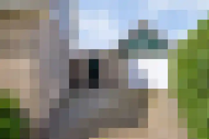 Valderseweg 7 Dwingeloo thumbnail 27