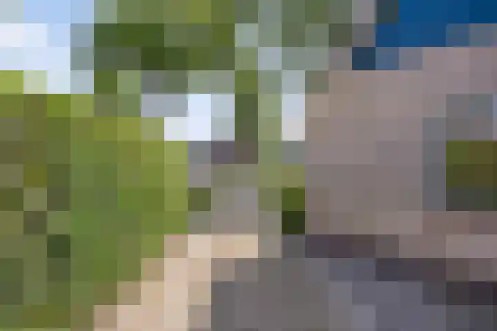 Valderseweg 7 Dwingeloo thumbnail 31