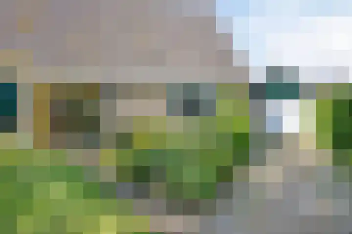 Valderseweg 7 Dwingeloo thumbnail 33